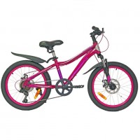Велосипед 20 Nameless S2200DW-PN/GR-11  розовый/серый 11b