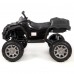 Электроквадроцикл детский Grizzly Next 45401 (Р) черный